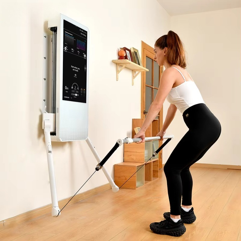 Multifunctional Home Fitness E - đánh giá và giá Sports Equipment Game