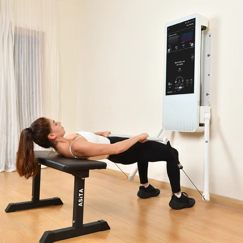 Multifunctional Home Fitness E - đánh giá và giá Sports Equipment Game