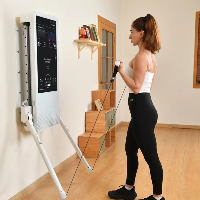Multifunctional Home Fitness E - đánh giá và giá Sports Equipment Game